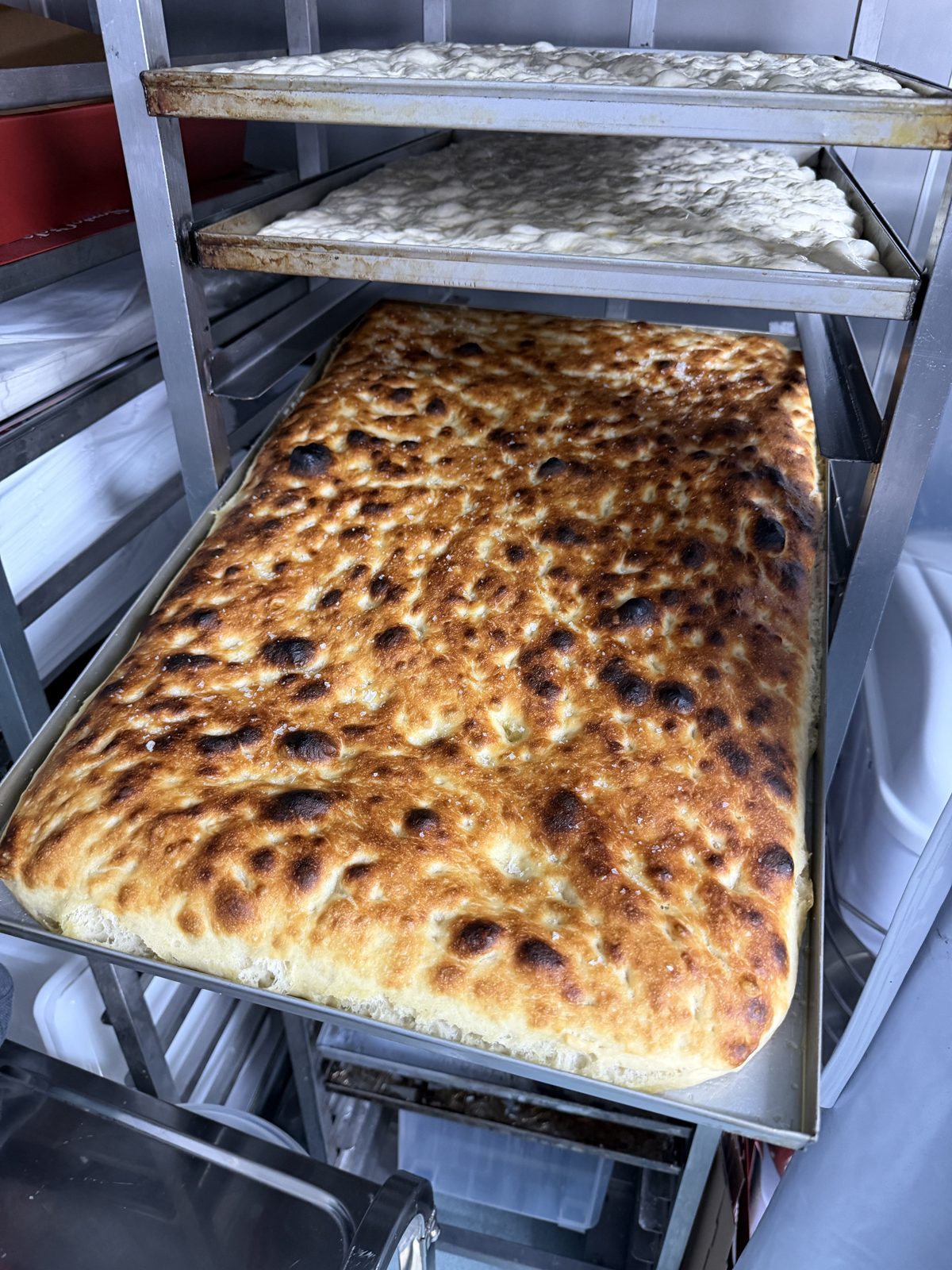 A freshly baked golden schiacciata slab with blistered salted crust on the bakery rack, proofing trays above